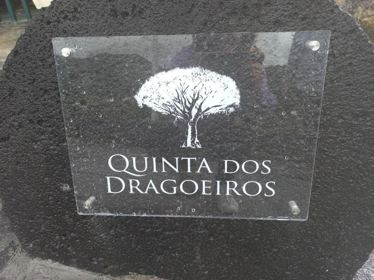 Queimada  Quinta Dos Dragoeiros - Rral Nº3452 아파트 외부 사진